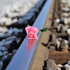 Różowa róża leżąca na torach kolejowych